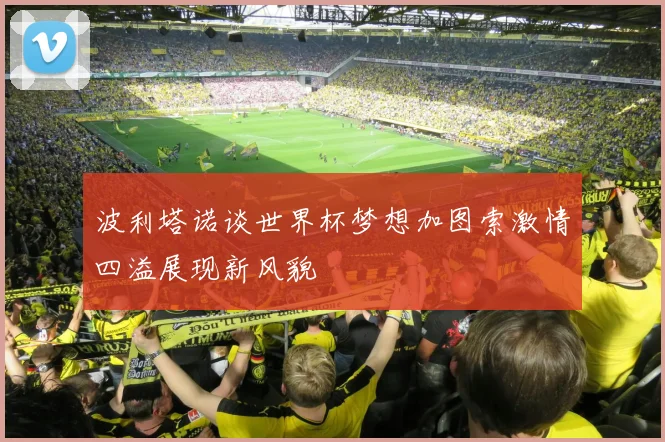 波利塔诺谈世界杯梦想加图索激情四溢展现新风貌